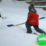 IMG_8438kopie